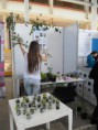 /album/feria-municipal-ondas/sam-3012-jpg/