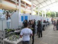 /album/feria-municipal-ondas/sam-3015-jpg/