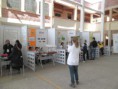 /album/feria-municipal-ondas/sam-3019-jpg/
